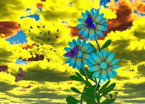 Butterflies and Blue Daisies